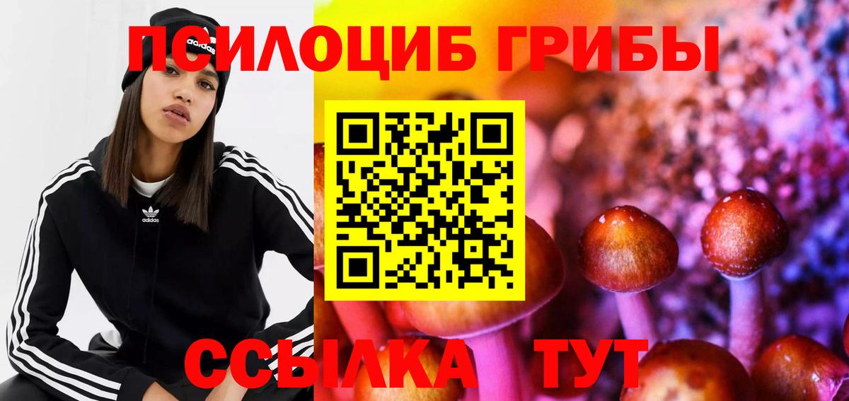 Псилоцибиновые грибы Psilocybine cubensis  Галлюциногенные грибы мухоморы  Вход с VPN  Набережные Челны 