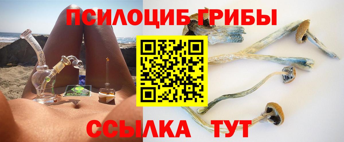 Псилоцибиновые грибы Cubensis Набережные Челны